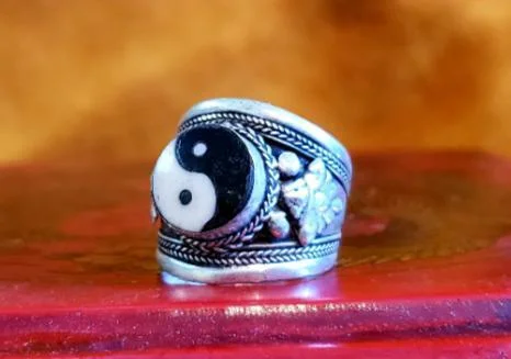 Light accent rings-Adjustable Yin Yang Ring